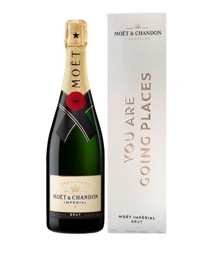 Moet & Chandon Grand Vintage Rose, Champagne (Vintage Varies) - 750 ml bottle